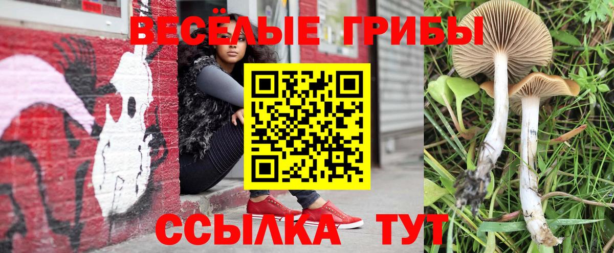 Псилоцибиновые грибы прущие грибы Советск
