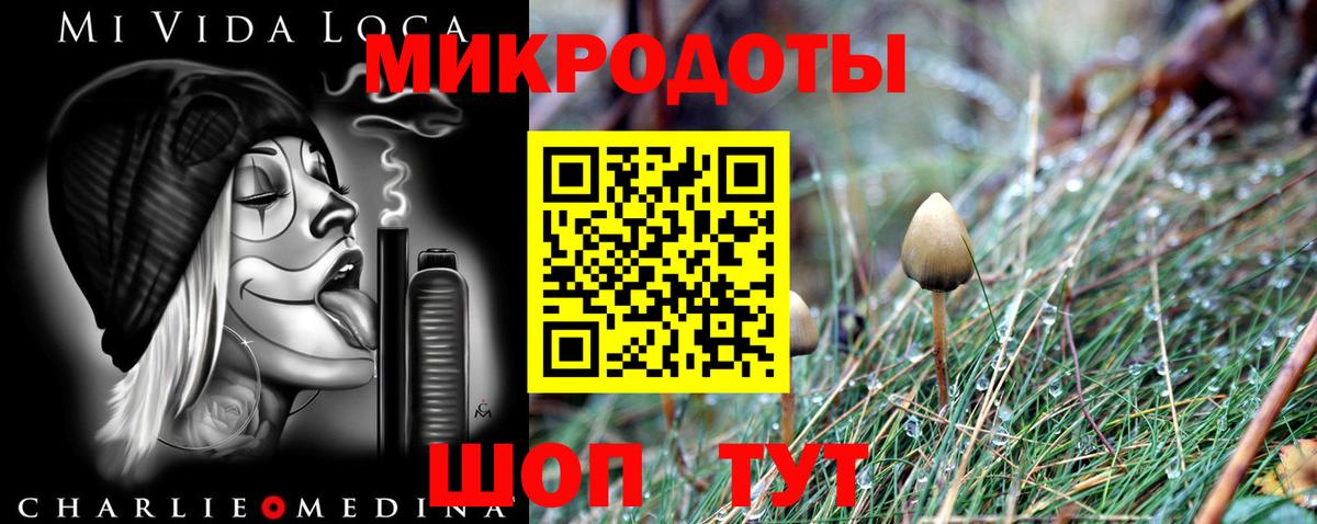 Галлюциногенные грибы мицелий  Вход с VPN  Советск  Псилоцибиновые грибы Cubensis 